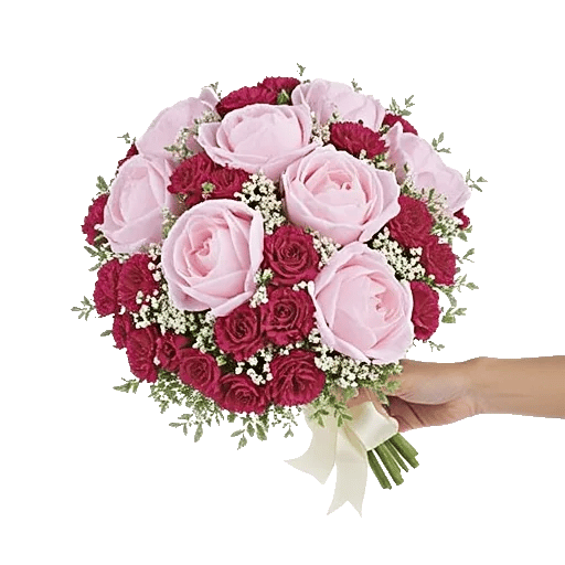 Peony Petal Harmony