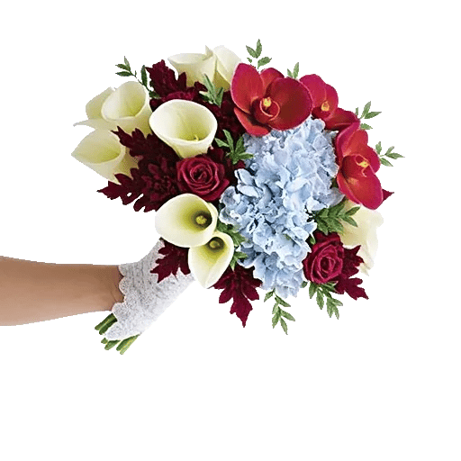 Elegant Calla Lilies