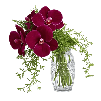 Orchid Bloom Cascade