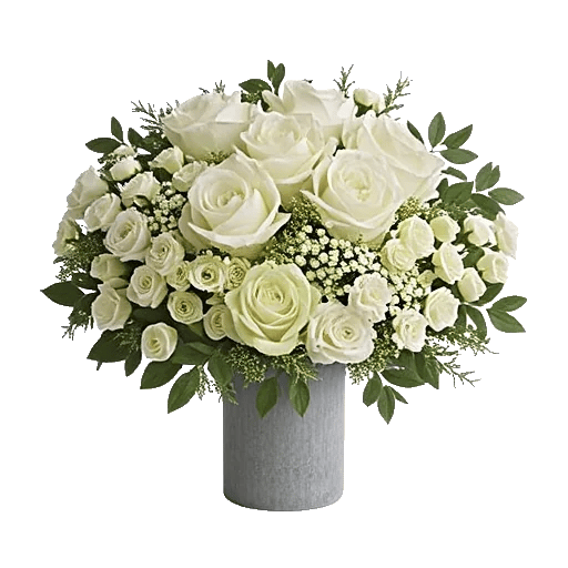 Ivory Blossom Radiance