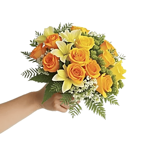 Blushing Rose Symphony