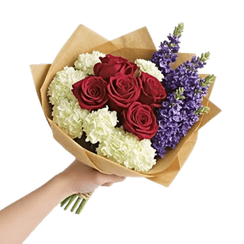 Crimson Rose Elegance