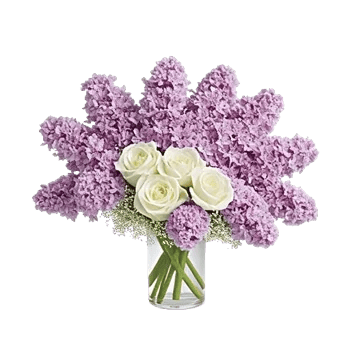 Lavender Bloom Grace