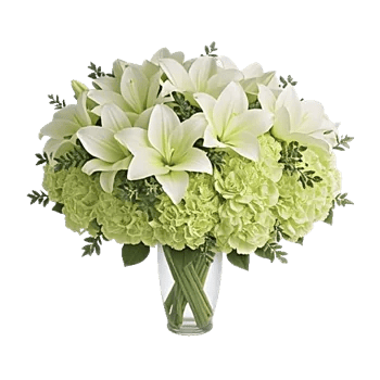 Graceful Lily Display