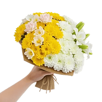 Blossom Harmony Display