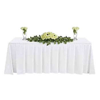 Minimalist White Orchids