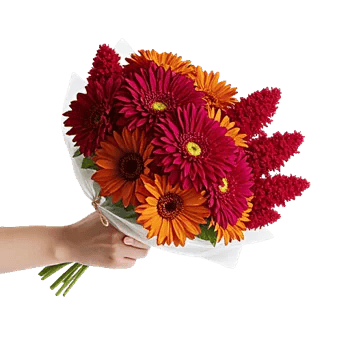 Crimson Blossom Harmony