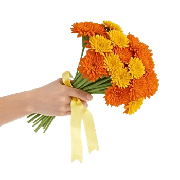 Vibrant Orange Delight