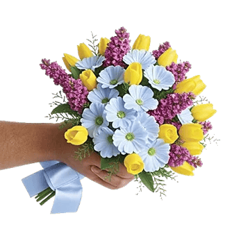 Sapphire Bloom Whisper