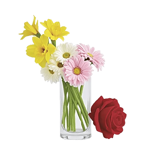 Ivory Blossom Radiance