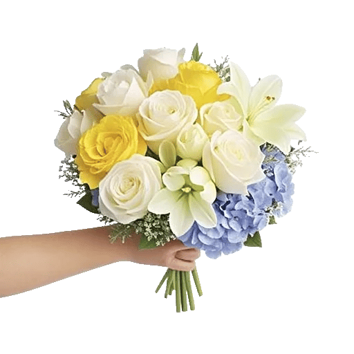 Petal Grace Harmony