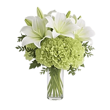 Ivory Blossom Radiance