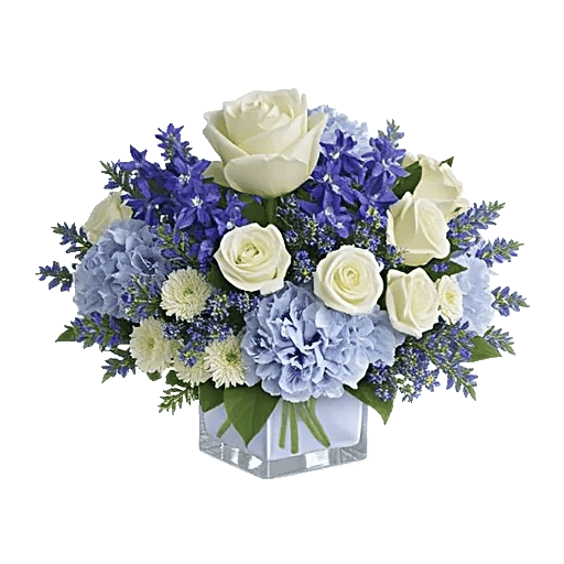 Blossom Petal Serenity