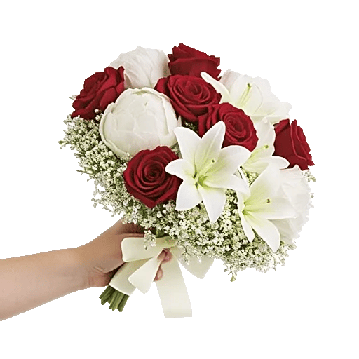 Crimson Rose Elegance