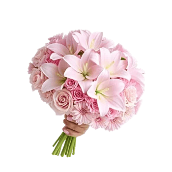 Pastel Pink Roses
