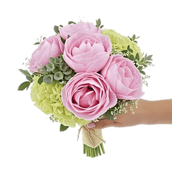 Peony Petal Harmony