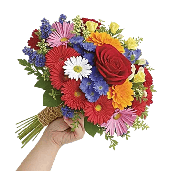 Blushing Rose Symphony