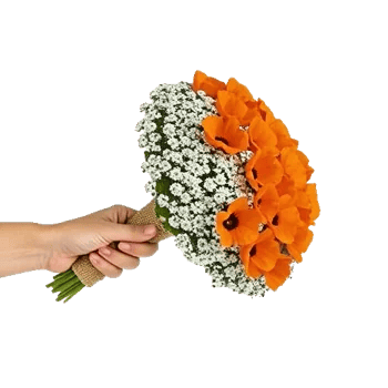 Petal Harmony Bliss