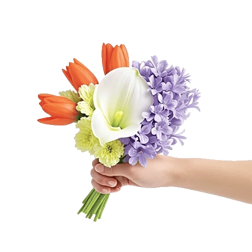 Elegant Calla Lilies