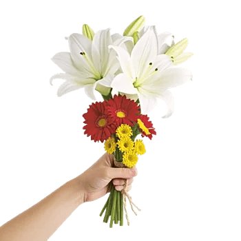 Graceful Lily Display