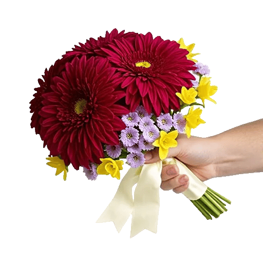 Crimson Blossom Harmony