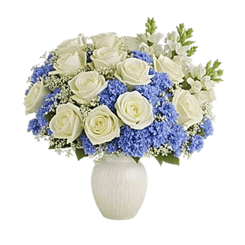 Ivory Blossom Radiance