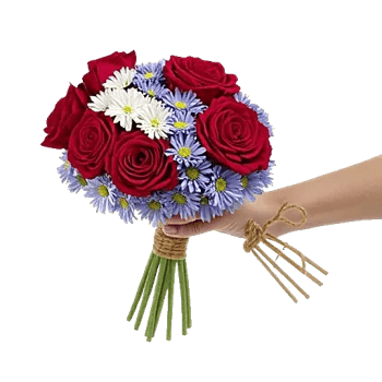 Crimson Rose Elegance