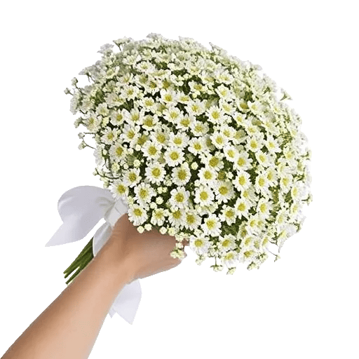 Rosemary Bloom Elegance