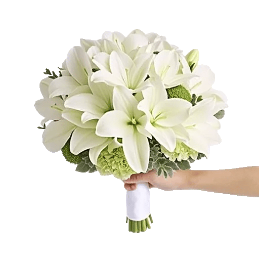 Minimalist White Orchids