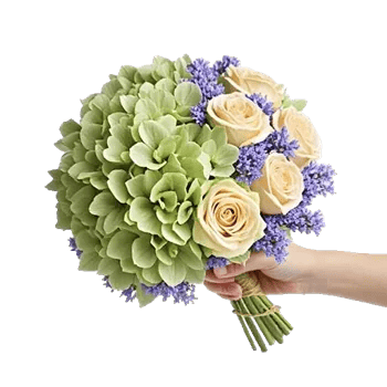 Serene Petal Harmony