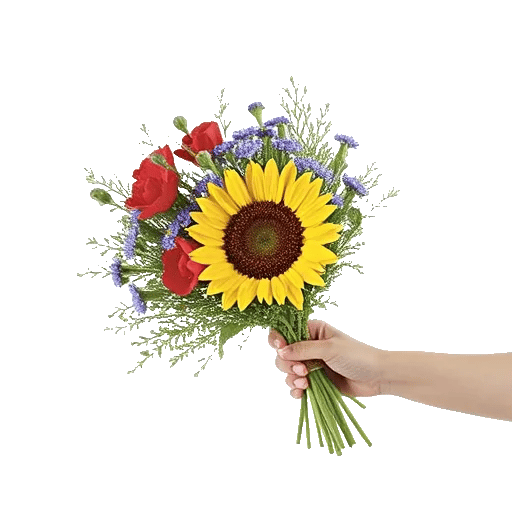 Twinkling Sunflower Dance