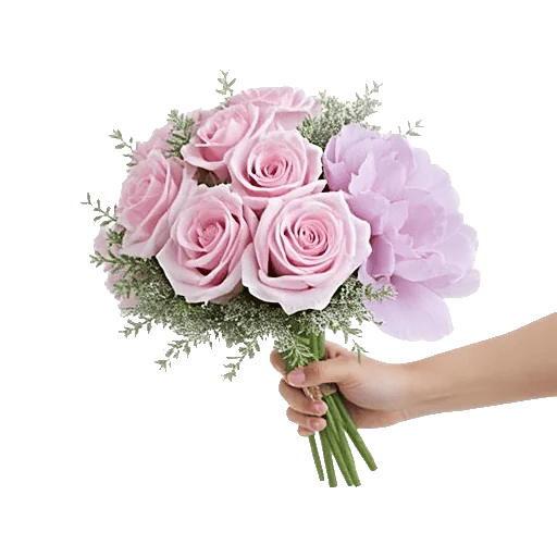 Pastel Pink Roses