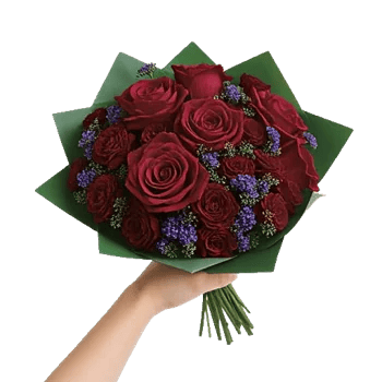 Crimson Rose Elegance