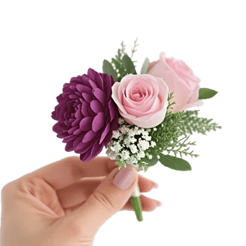 Plum Blossom Radiance