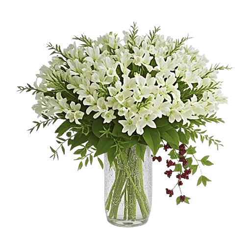 Ivory Blossom Radiance