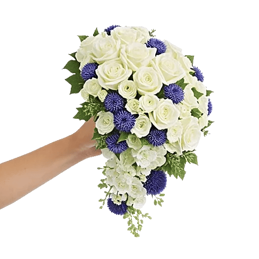 Delicate Petal Cascade