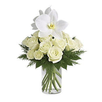 Minimalist White Orchids