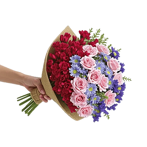 Blushing Rose Symphony
