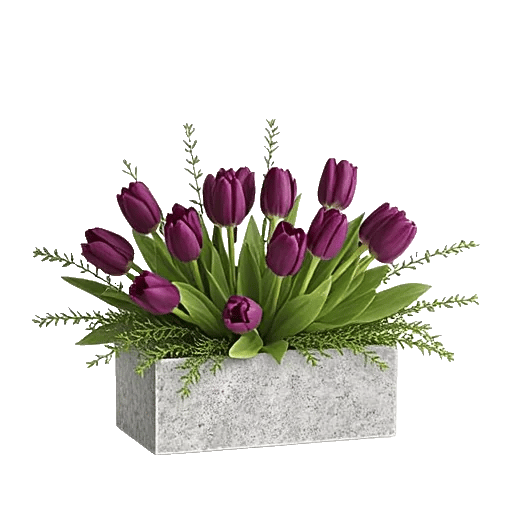 Velvet Tulip Display