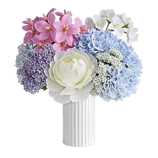 Ivory Blossom Radiance