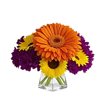 Radiant Bloom Cascade