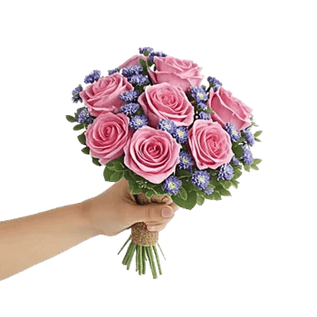 Pink Pastel Roses