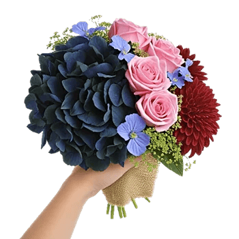 Sapphire Bloom Whisper