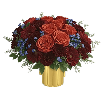 Regal Burgundy Display