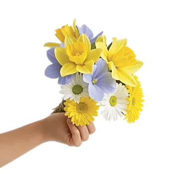 Dewy Morning Blossoms