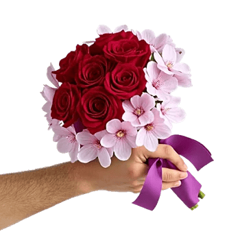 Crimson Rose Elegance