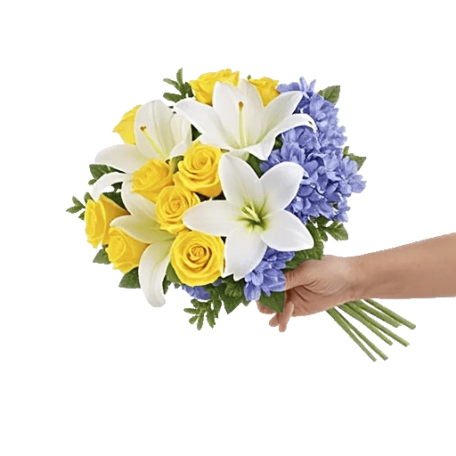 Blossom Harmony Display