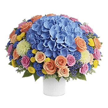 Azure Sky Blooms