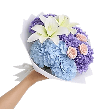 Serene Petal Harmony