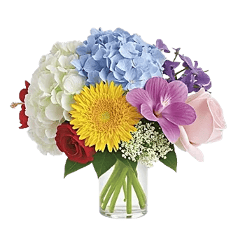 Petal Radiance Bliss